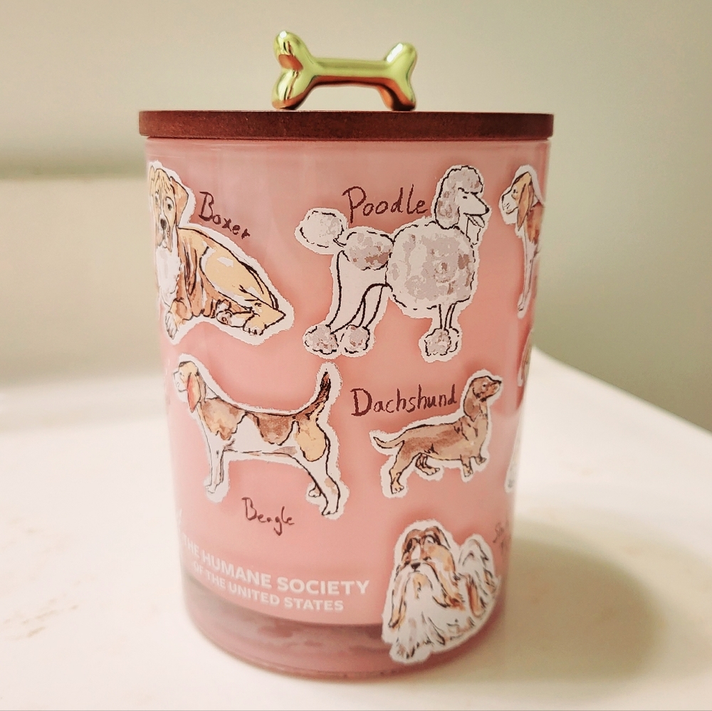 The Humane Society Pink Candle  Dogs Doggie New
